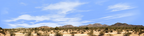 Desert Brush with Mountains Arizona