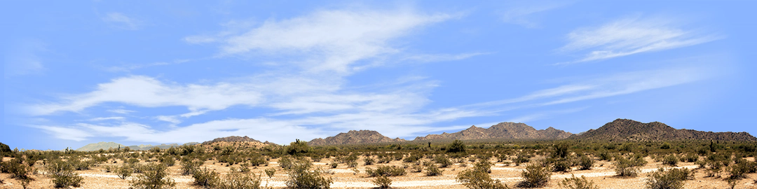 Desert Brush with Mountains Arizona