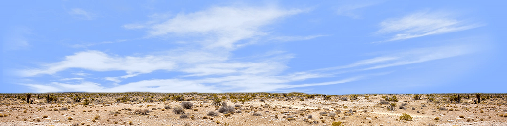 Desert Floor Nevada Repeatable