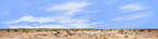 Desert Floor Nevada Repeatable