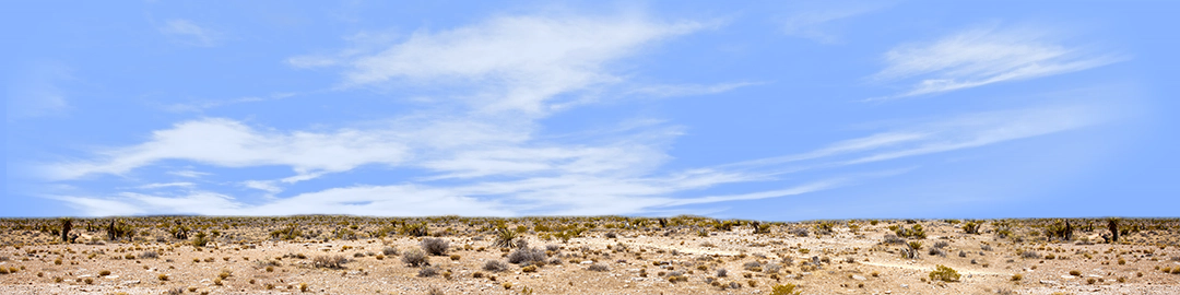 Desert Floor Nevada Repeatable