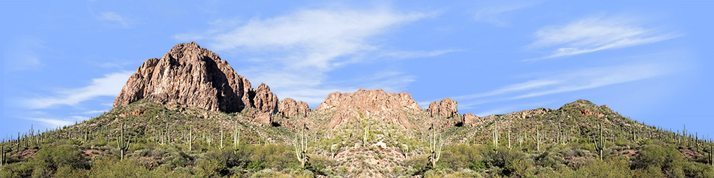 Desert Saguaros Around Mountain Butte left repeatable