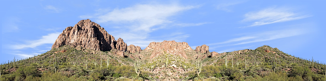 Desert Saguaros Around Mountain Butte left repeatable