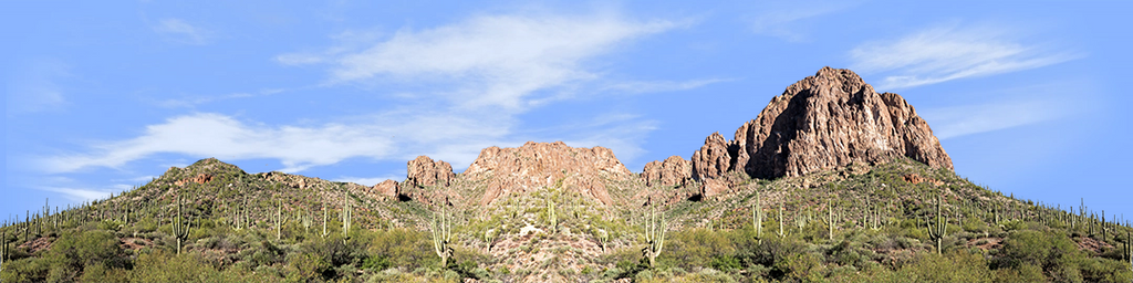 Desert Saguaros Around Mountain Butte right repeatable