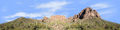 Desert Saguaros Around Mountain Butte right repeatable
