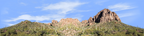 Desert Saguaros Around Mountain Butte right repeatable