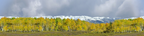 Fall Aspens Kebler Colorado center repeatable