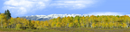 Fall Aspens Kebler Colorado left