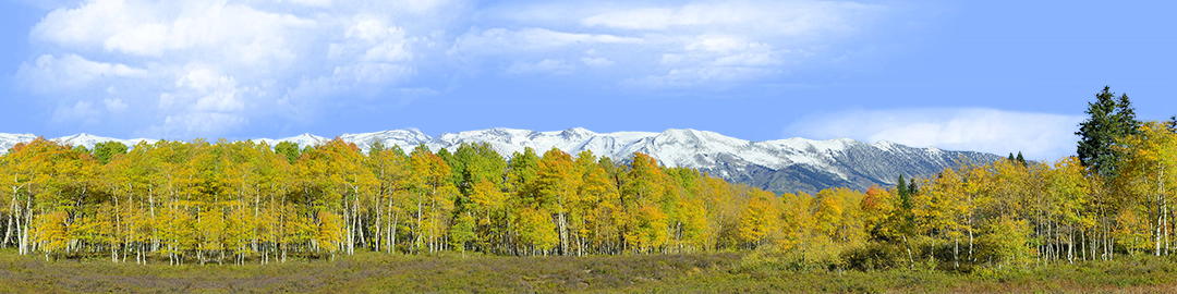 Fall Aspens Kebler Colorado right