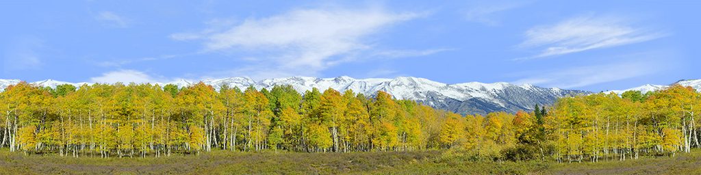 Fall Aspens Kebler Colorado center repeatable