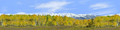 Fall Aspens Kebler Colorado center repeatable