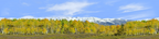 Fall Aspens Kebler Colorado center repeatable