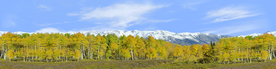Fall Aspens Kebler Colorado center repeatable