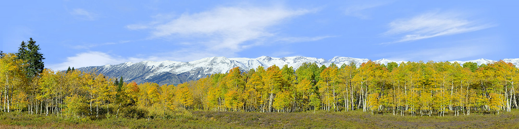 Fall Aspens Kebler Colorado left
