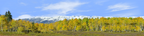 Fall Aspens Kebler Colorado left