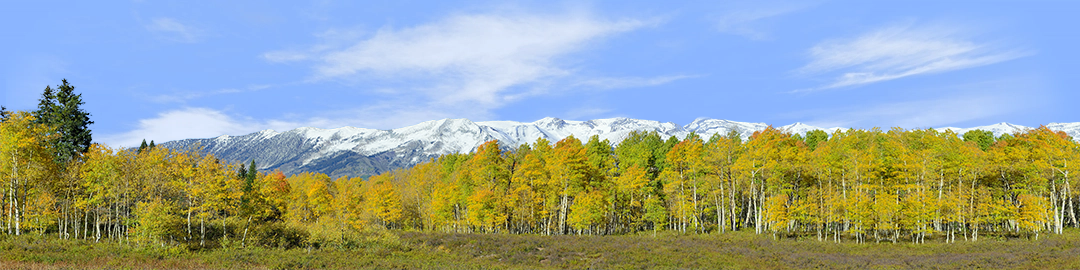 Fall Aspens Kebler Colorado left