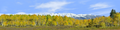 Fall Aspens Kebler Colorado right