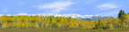 Fall Aspens Kebler Colorado right