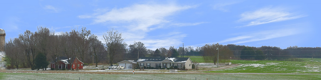 Farm in Bowling Green in Winter part 2
