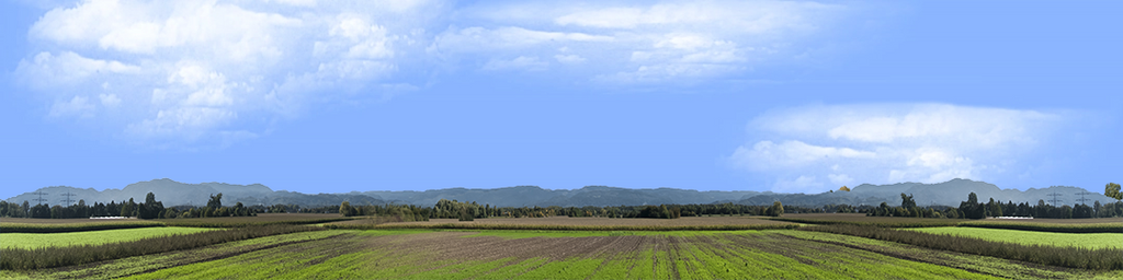 Farming on the Rhine center repeatable