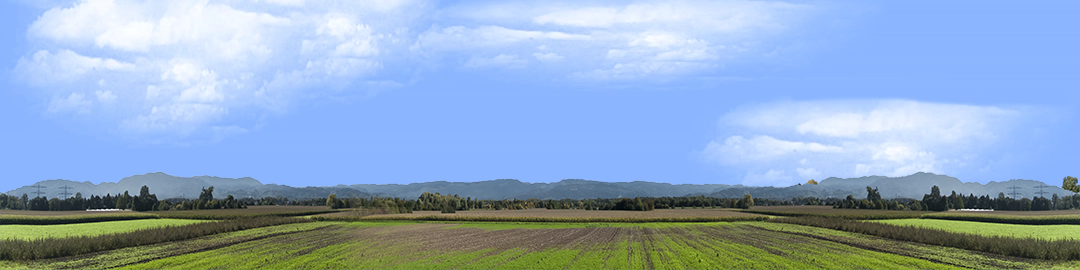 Farming on the Rhine center repeatable