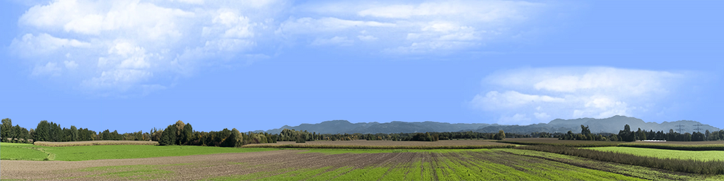 Farming on the Rhine left