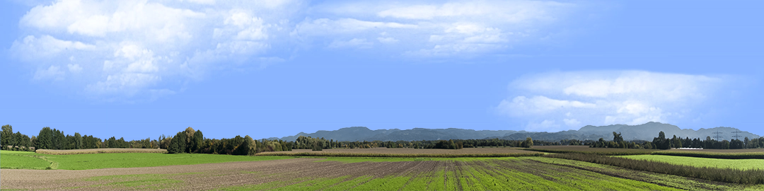 Farming on the Rhine left