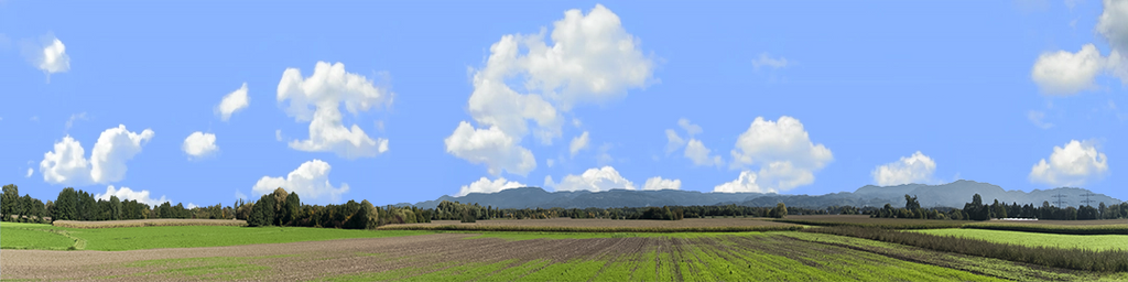 Farming on the Rhine left