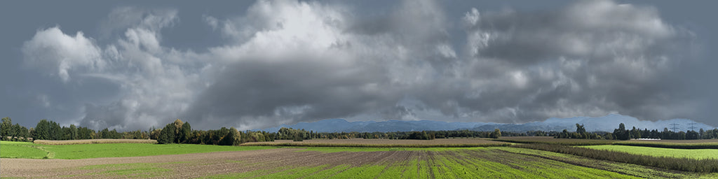 Farming on the Rhine left