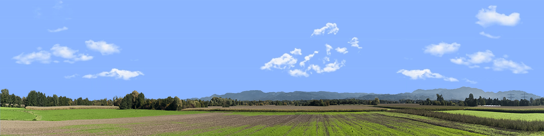 Farming on the Rhine left