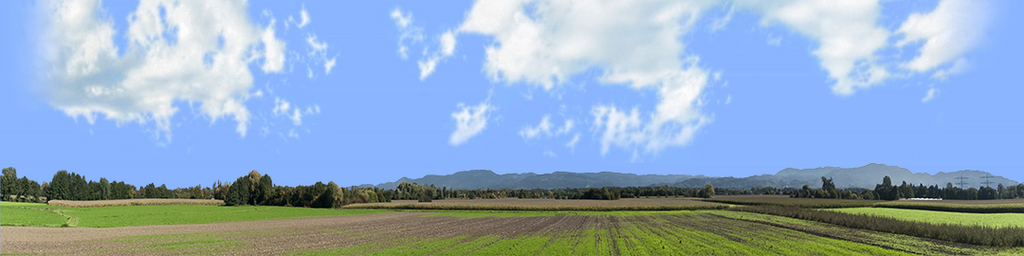 Farming on the Rhine left