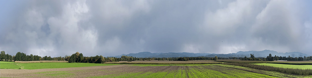 Farming on the Rhine left