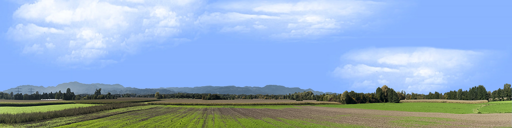 Farming on the Rhine right