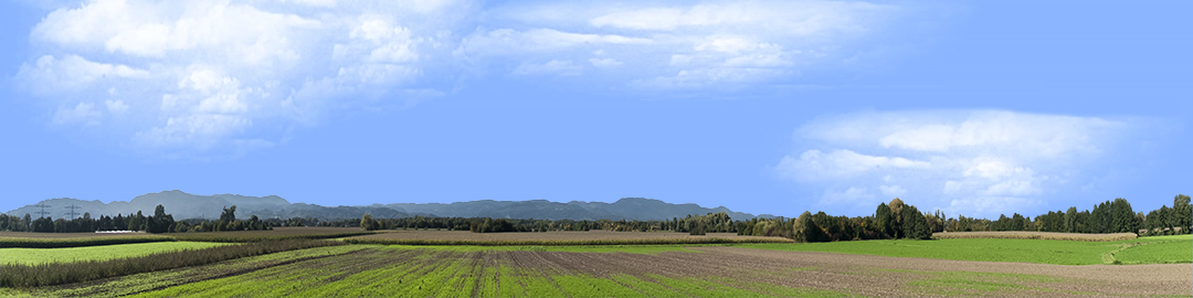 Farming on the Rhine right
