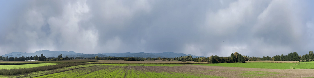 Farming on the Rhine right