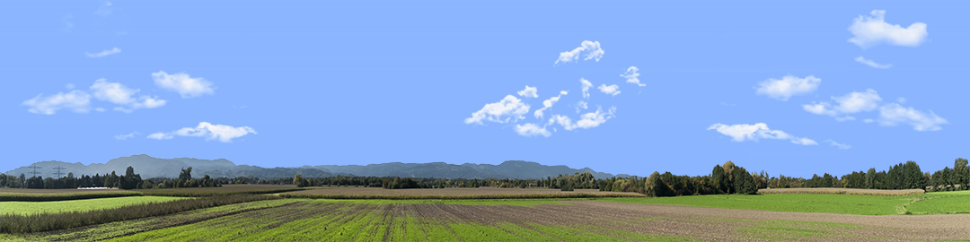 Farming on the Rhine right