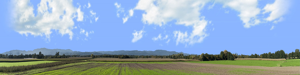 Farming on the Rhine right