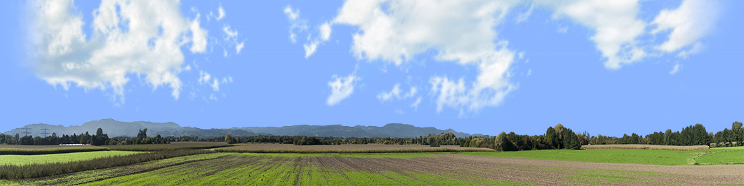 Farming on the Rhine right