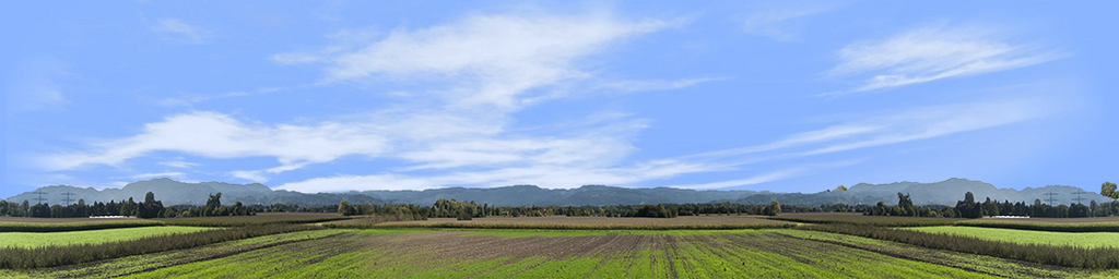 Farming on the Rhine center repeatable