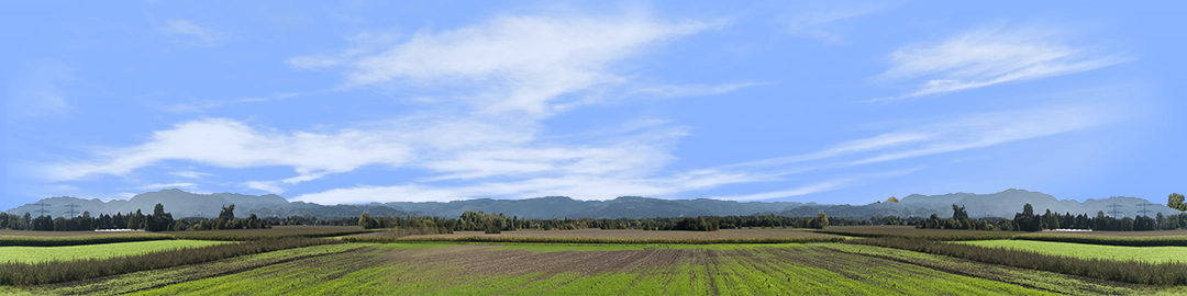 Farming on the Rhine center repeatable