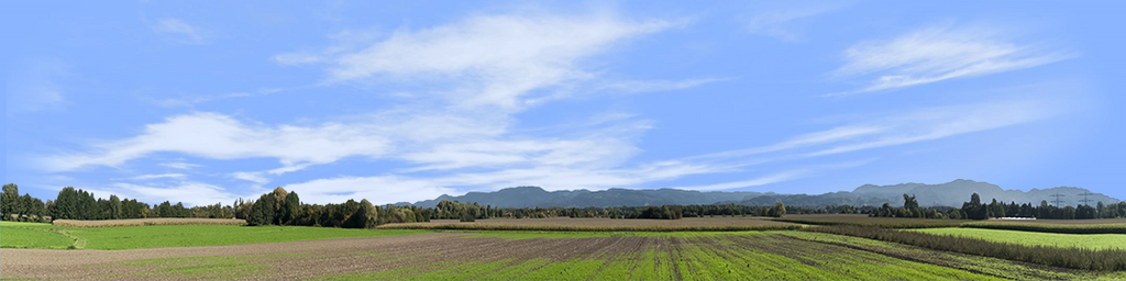 Farming on the Rhine left