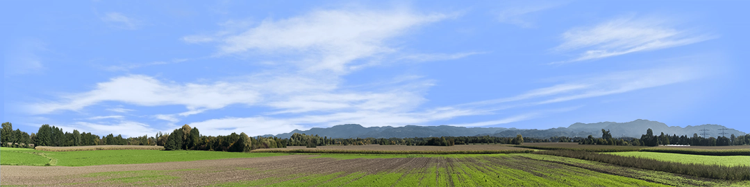 Farming on the Rhine left