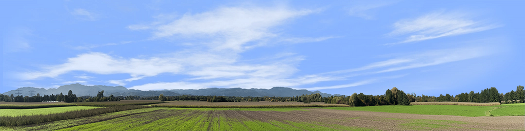 Farming on the Rhine right