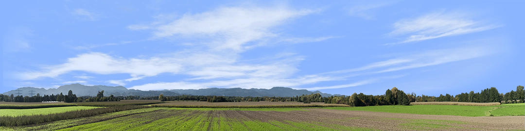 Farming on the Rhine right