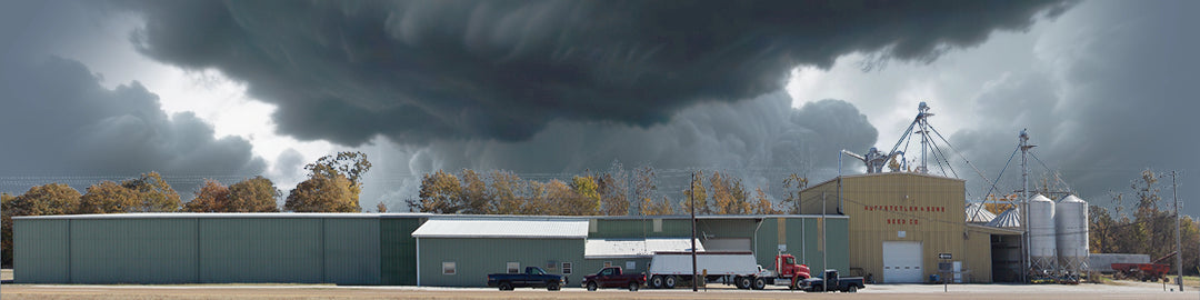 Feed Supply Greenfield Tennessee