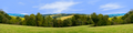 Forest Row Of Trees On The Grassy Hills center repeatable