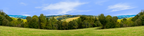 Forest Row Of Trees On The Grassy Hills center repeatable