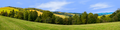 Forest Row Of Trees On The Grassy Hills left