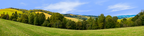 Forest Row Of Trees On The Grassy Hills left