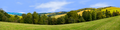 Forest Row Of Trees On The Grassy Hills center repeatable